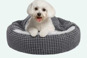 mejor cama para cachorros pequeños comprar amazon