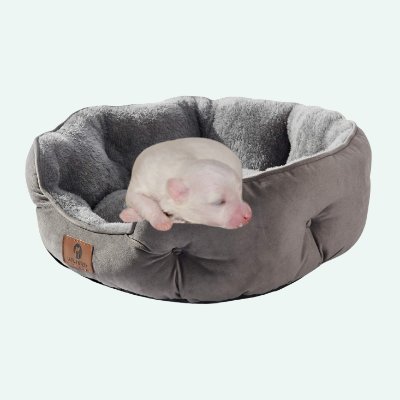 mejor cama pequeña redonda para cachorros perros comprar en amazon