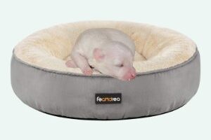 cama cesta para cachorro redonda gris