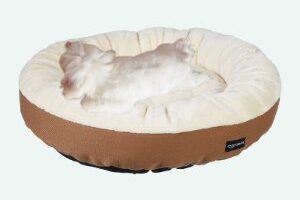 mejor cama para cachorros pequeños comprar amazon
