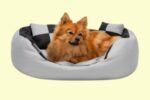 sofa cesta gris para cachorro amazon comprar