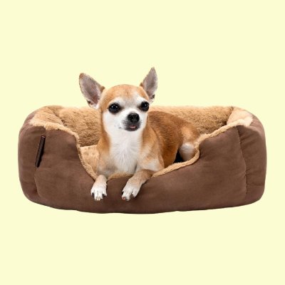 cama sofa cachorro color beige comprar amazon