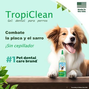 tropiclean gel antisarro antiplaca para perros