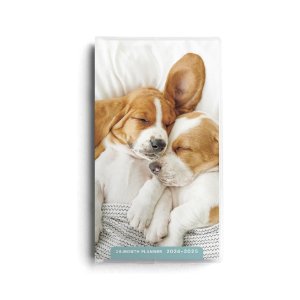 agenda bolcillo cachorros