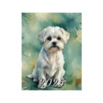 agenda original perro bichon maltes