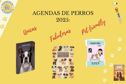 mejores agendas de perros 2025 originales