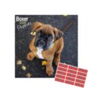 calendario 2025 cachorro boxer con pegatinas