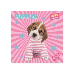 calendario bonito de pared con imagenes de cachorros perros