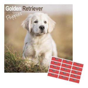 Calendario 2025 pared perro Golden Retriever
