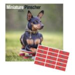 calendario pared 2025 perro pinscher miniatura