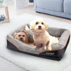 mejor cama ortopedica para perros pequenos bichon maltes comprar