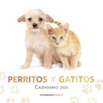 Calendario Perritos y Gatitos 2025