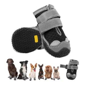 botas invierno perro amazon