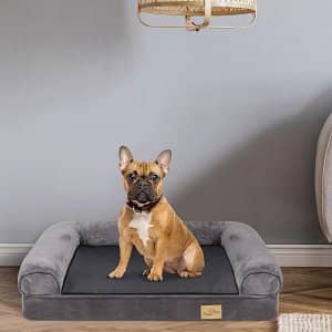 5 Mejores Camas Ortopédicas para Perros Pequeños: Análisis y Opiniones cama perro ortopedica cojin viscoelastico amazon