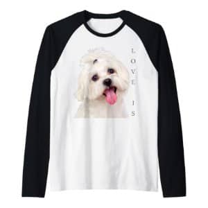 camisa manga larga con imagenes perro maltes