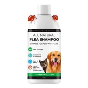 Parafarmacia para perros Bichón Maltés champu antipulgas natural perro