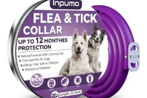 collar antipulgas proteccion 12 meses perro