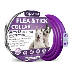 collar antipulgas proteccion 12 meses perro