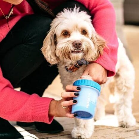 limpiador de patas para perros pequeños