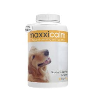 Tranquilizantes Naturales para Perros Bichón Maltés maxxicalm calmante perros estrés ansiedad