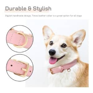 heele mejor collar rosa para perro pequeño amazon
