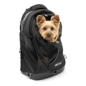 mejor mochila senderismo perro profesional amazon