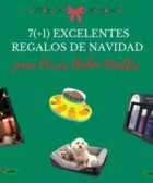 mejores regalos navidad para perros bichon maltes