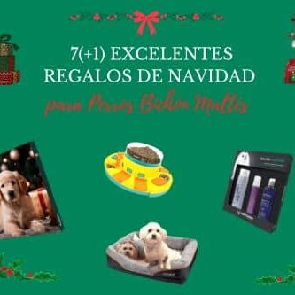 mejores regalos navidad para perros bichon maltes