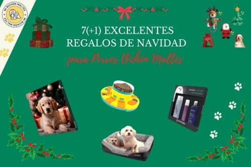 mejores regalos navidad para perros bichon maltes