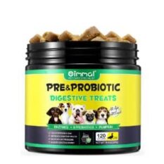 Probióticos para perros digestion