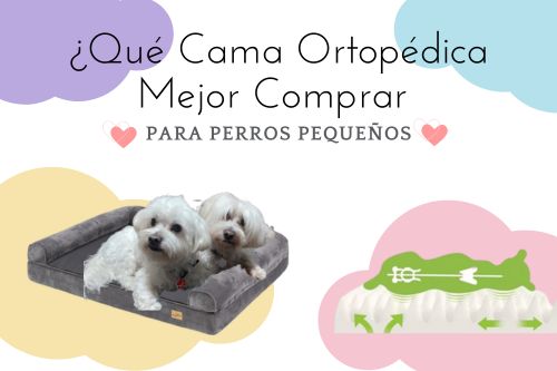 que cama ortopédica mejor comprar para perro pequeño