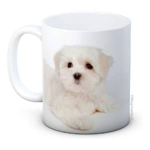 taza cafe original imagen perro bichon maltes