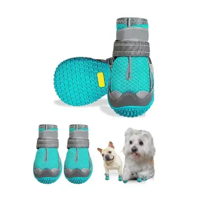 havenfly zapatos para perros bichon maltes