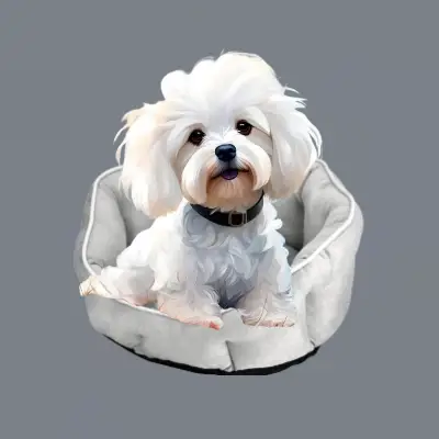 mejores camas para perros malteses bichones
