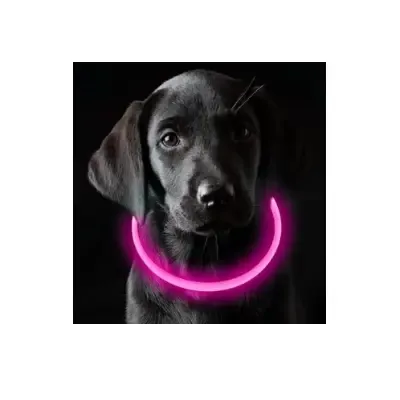 Coolzon Collar luminoso perro 3 modos de luz longitud ajustable