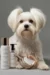mejores productos de cosmetica para bichon maltes