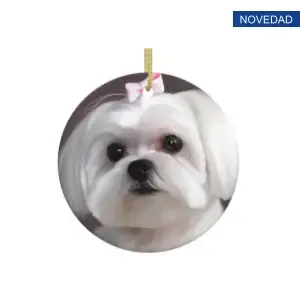 Tienda Online Mi Bichón Maltés decoracion navidad bichon maltes