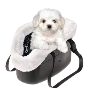 ferplast mejor bolso para llevar bichon maltes