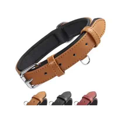 Grand Line Collar de perro en piel ancho con suave acolchado colores