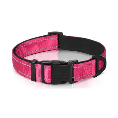 Joytale Collar perro reflectante nylon acolchado colores varios