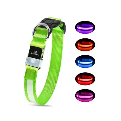 MASBRILL Collar luces LED impermeable para perros pequeños