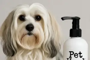 mejores champús para perros bichón maltés