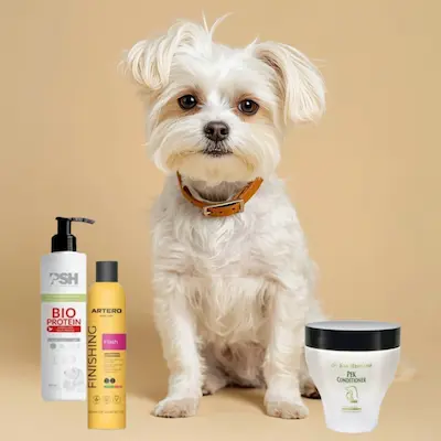 mejores marcas de suavizantes para perros Bichón Maltés