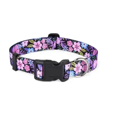 Mihqy Collar perro pequeño ajustable resistente de nylon