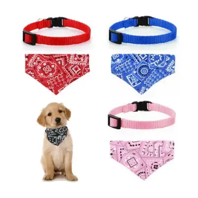 Molain 4 Collares originales para mascotas con bandana