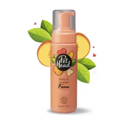 Productos de Cosmética para Bichón Maltés Pet Head Champú seco para perros y cachorros aroma de melocotón