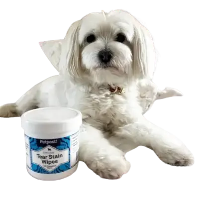 petpost toallitas producto blanquear ojo bichon maltes