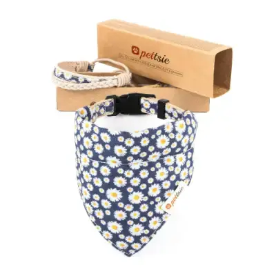 Pettsie Collar para perros con bandana y brazalete