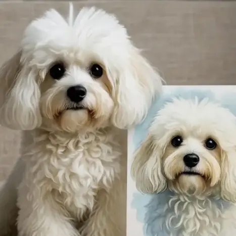 regalos originales para maltes lovers