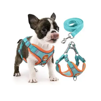 rennaio Arnés ajustable para cachorros 2 clips y correa reflectante